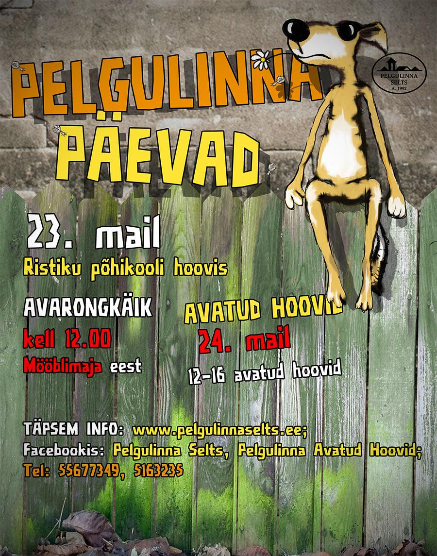 Pelgulinna päevad 2015